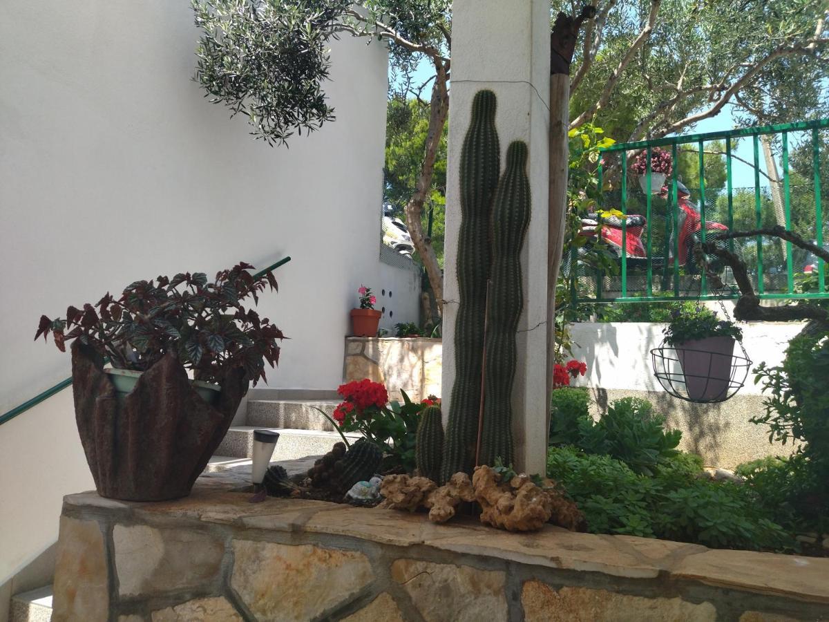 Apartments Marina Hvar Town Exterior photo